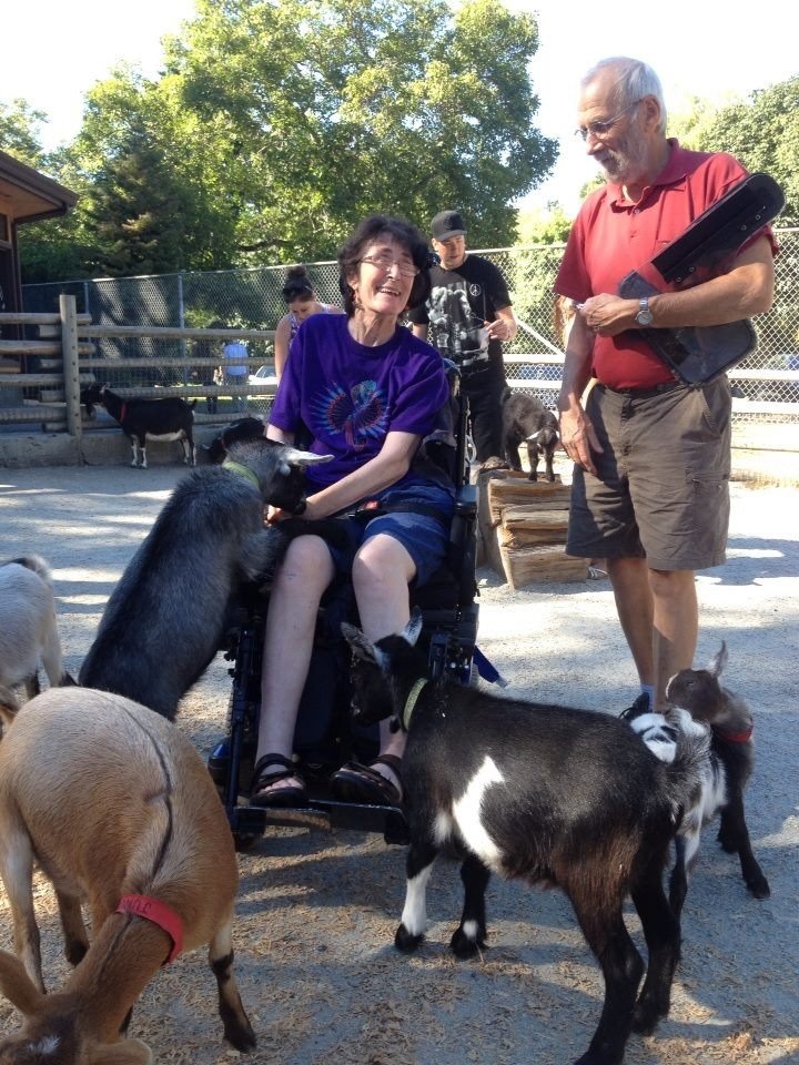 A woman in a wheelchair enjoys interacting with playful goats at a petting zoo, while two men engage with her. The scene showcases a lively outdoor setting with trees and a fenced area in the background, highlighting a joyful experience with animals.