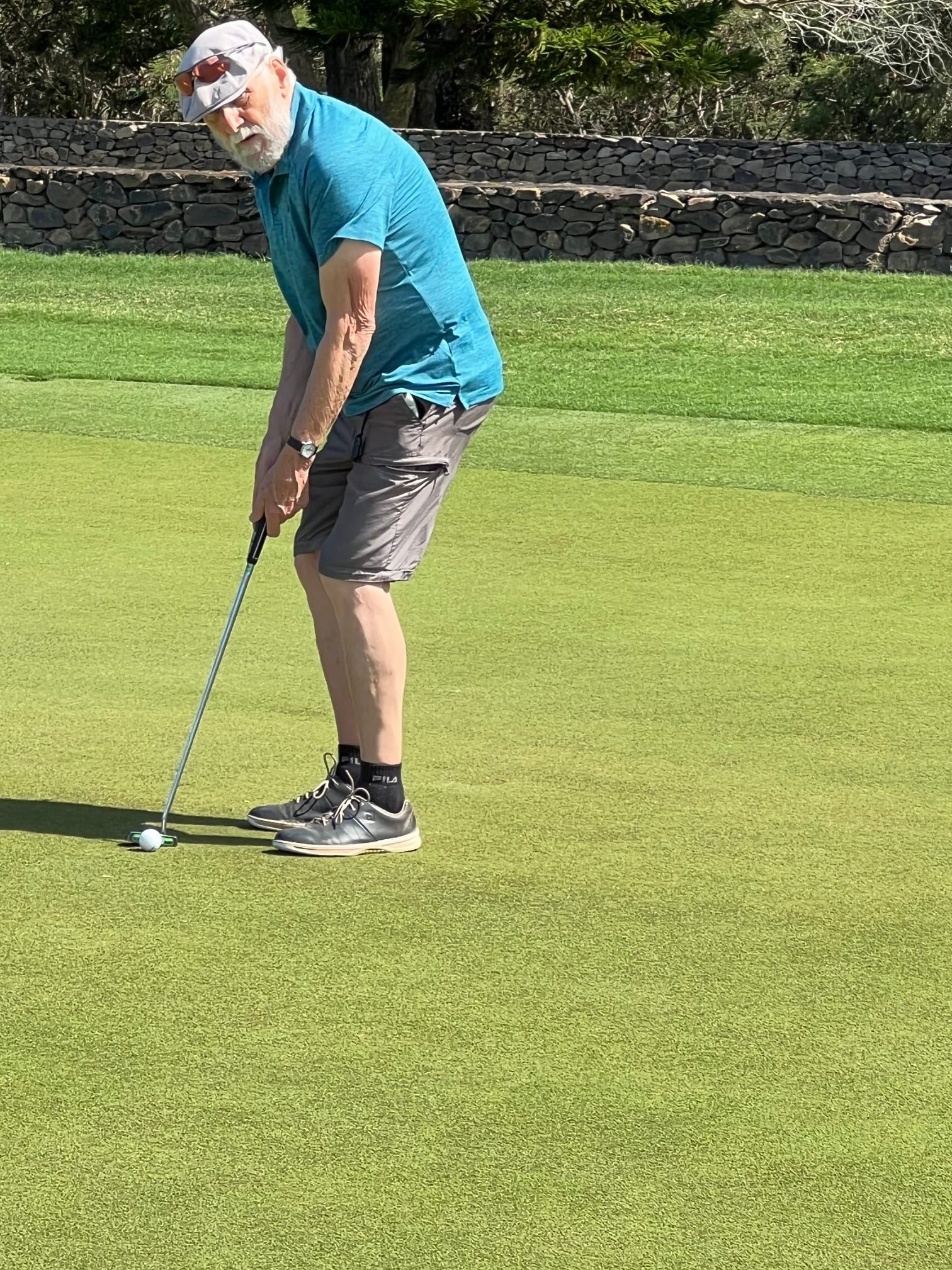 An older man with a beard is preparing to putt on a well-maintained green golf course, wearing a blue shirt, gray shorts, and black golf shoes.