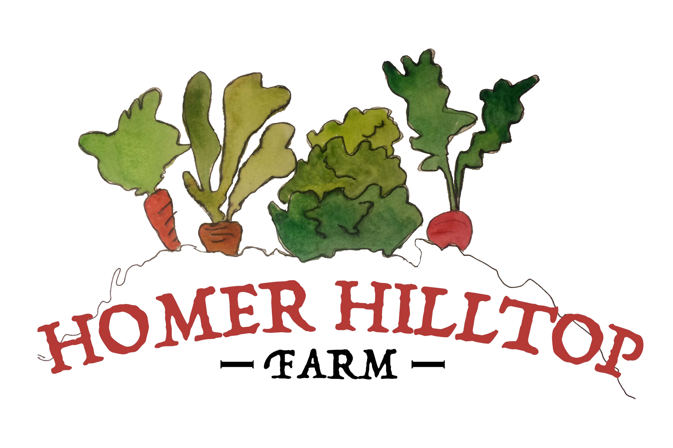 Hand-painted logo of Homer Hilltop Farm featuring vibrant illustrations of various vegetables, including carrots, leafy greens, and radishes, emphasizing organic farming and fresh produce.