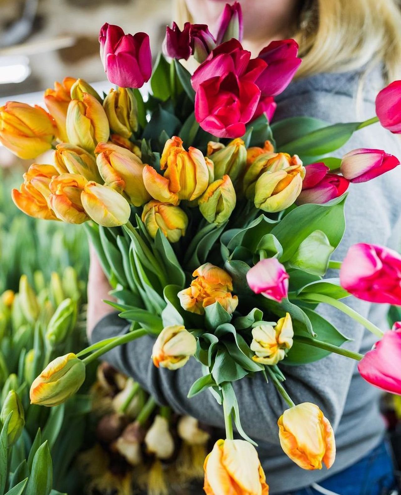 A person holding a vibrant bouquet of tulips in various colors, including shades of pink, red, and orange, surrounded by lush green foliage in a floral setting.